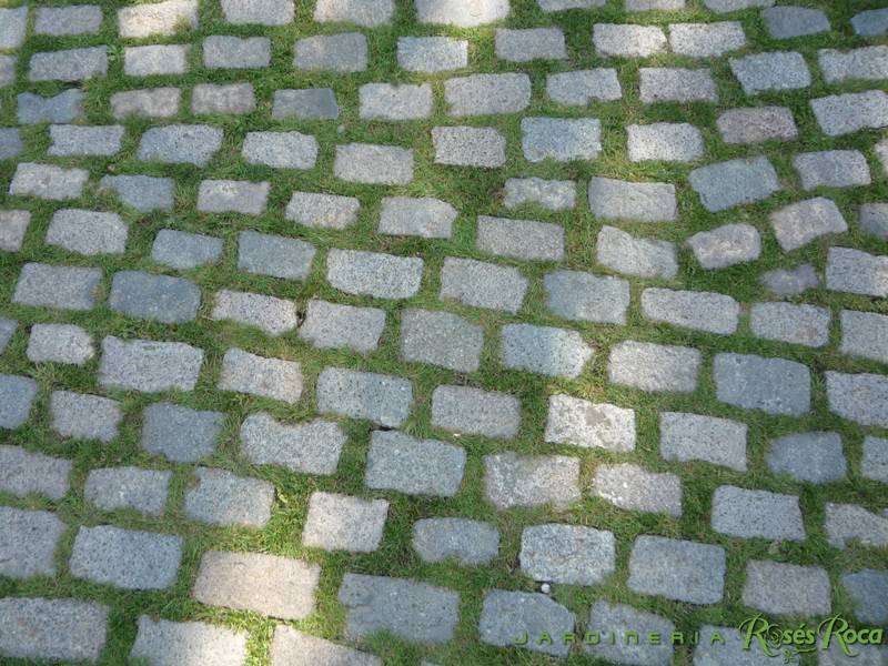 JardineriaRosesRoca10