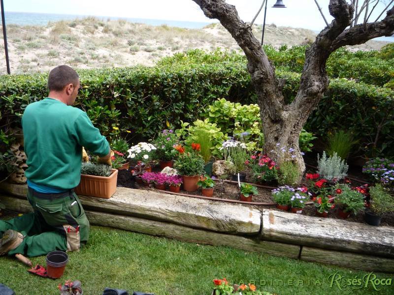 JardineriaRosesRoca11