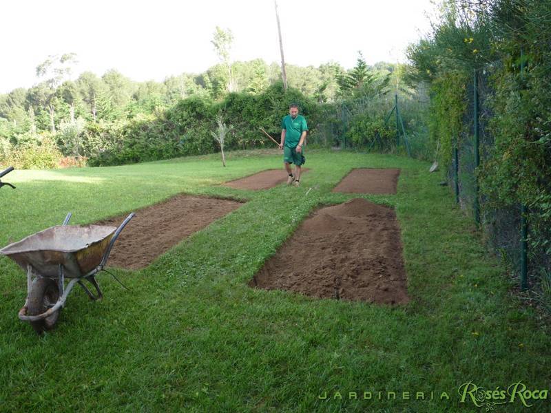 JardineriaRosesRoca14