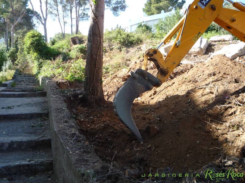 JardineriaRosesRoca21