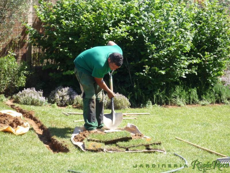 JardineriaRosesRoca28