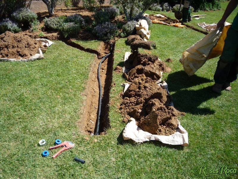 JardineriaRosesRoca29