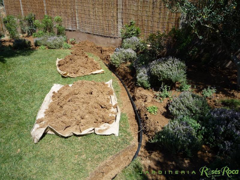 JardineriaRosesRoca30