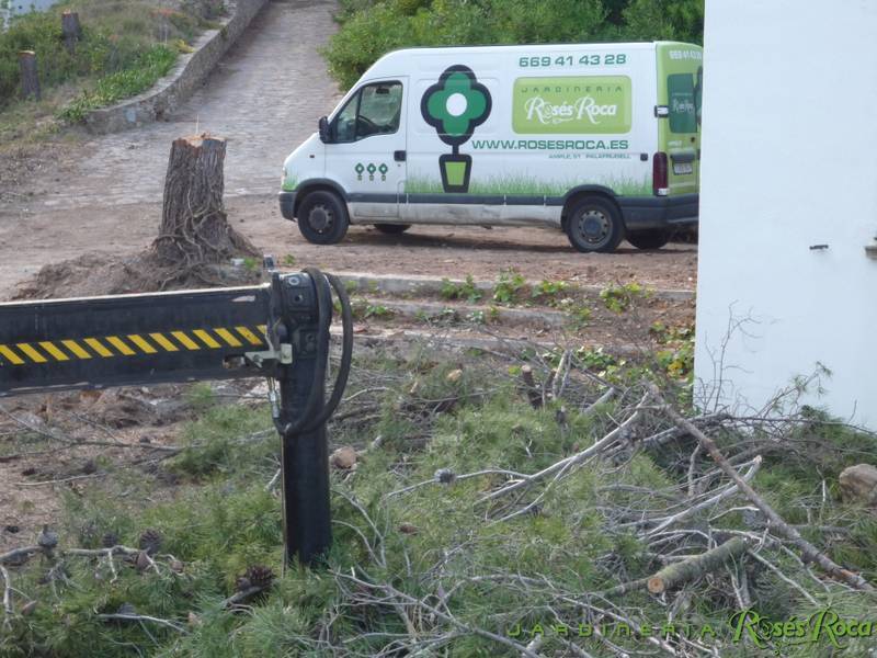 JardineriaRosesRoca40