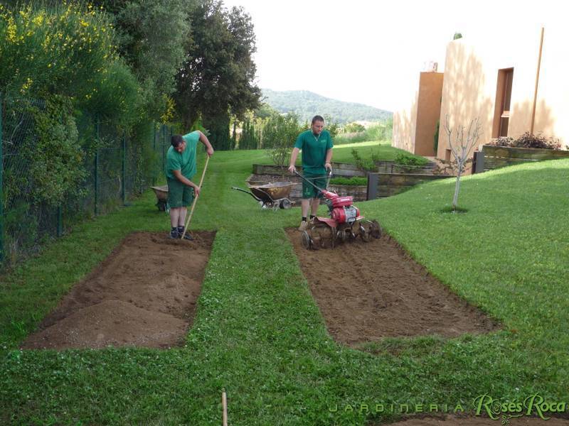 JardineriaRosesRoca42