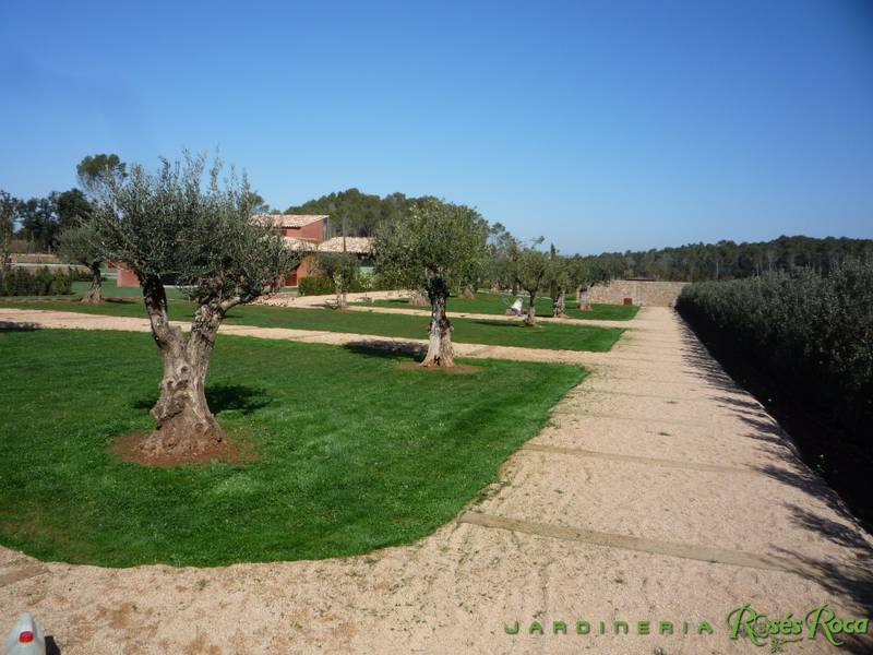 JardineriaRosesRoca10