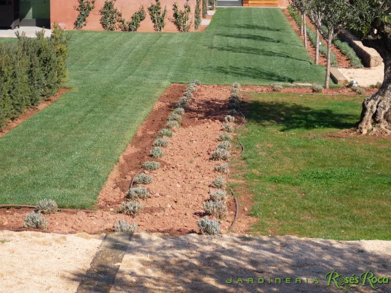 JardineriaRosesRoca11