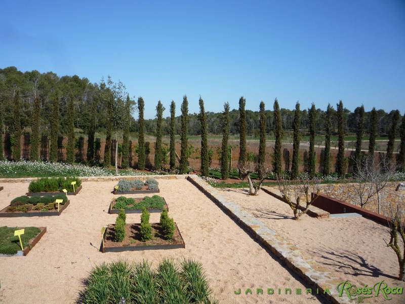 JardineriaRosesRoca12
