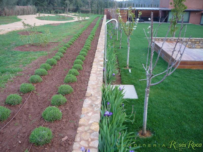 JardineriaRosesRoca13