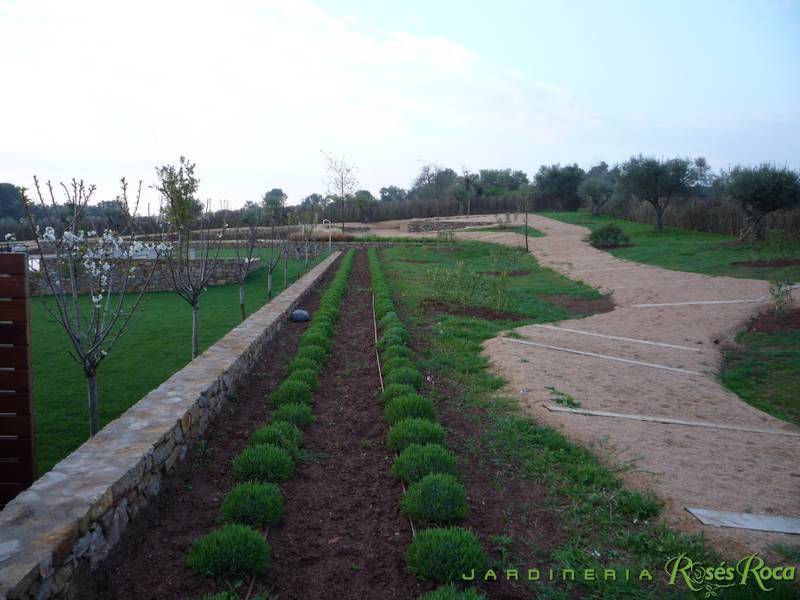 JardineriaRosesRoca14