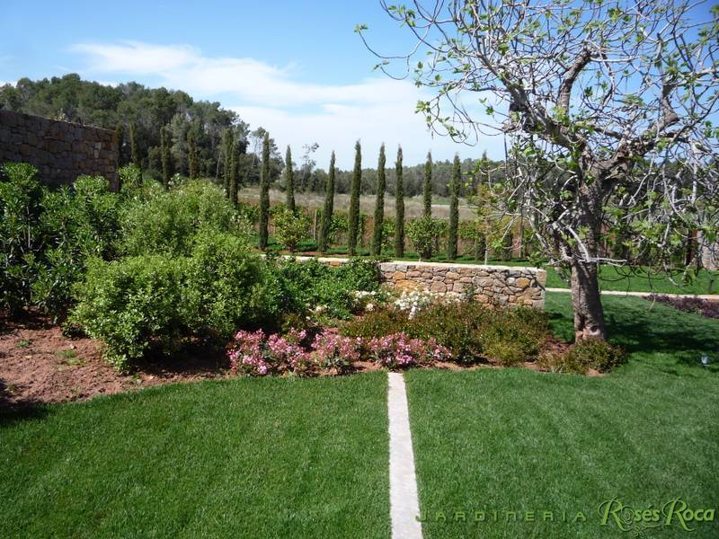 JardineriaRosesRoca17
