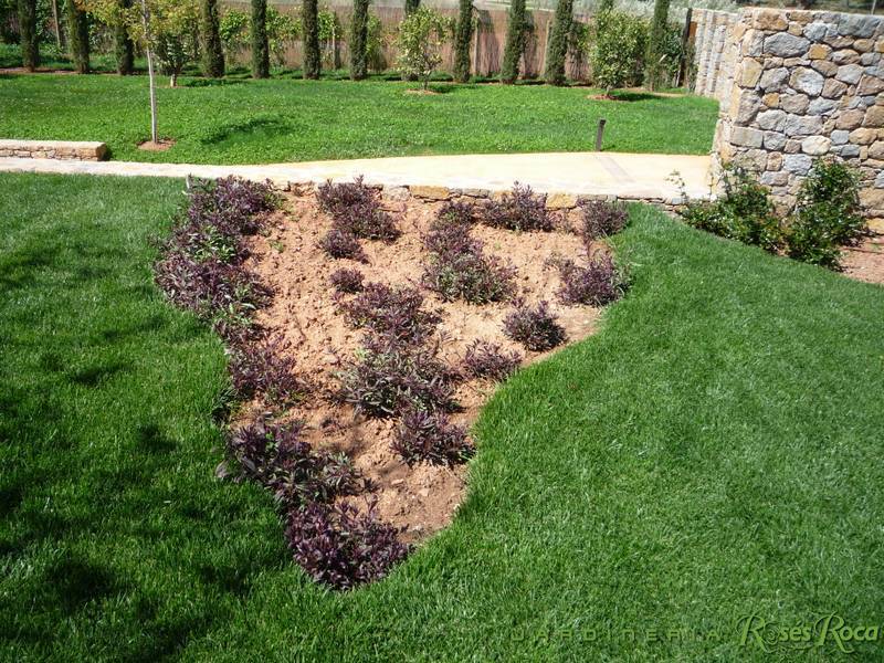 JardineriaRosesRoca19