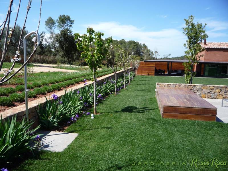 JardineriaRosesRoca20