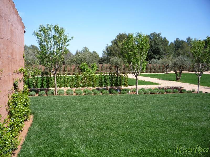 JardineriaRosesRoca24