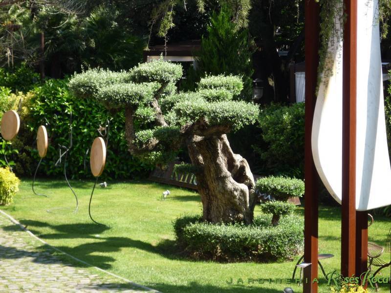 JardineriaRosesRoca25