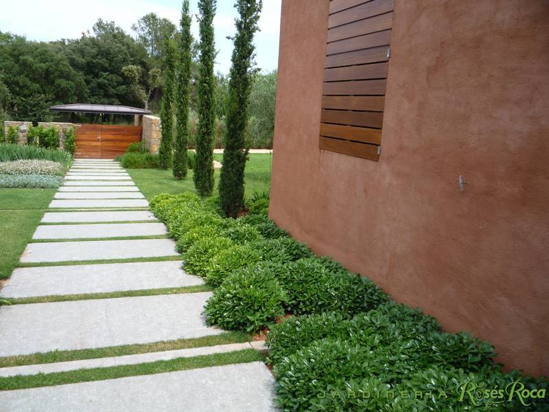 JardineriaRosesRoca27