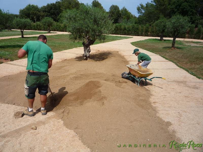 JardineriaRosesRoca29