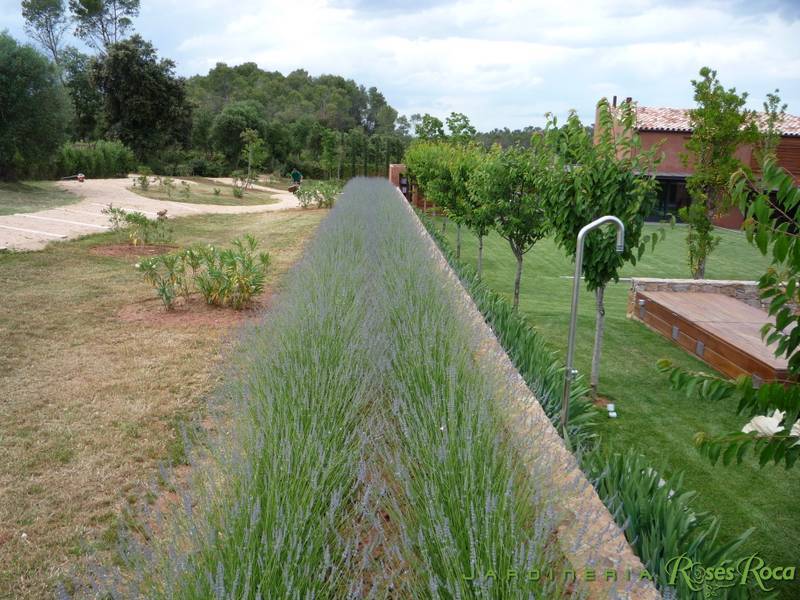 JardineriaRosesRoca30