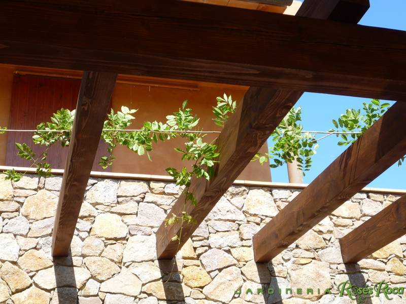 JardineriaRosesRoca34