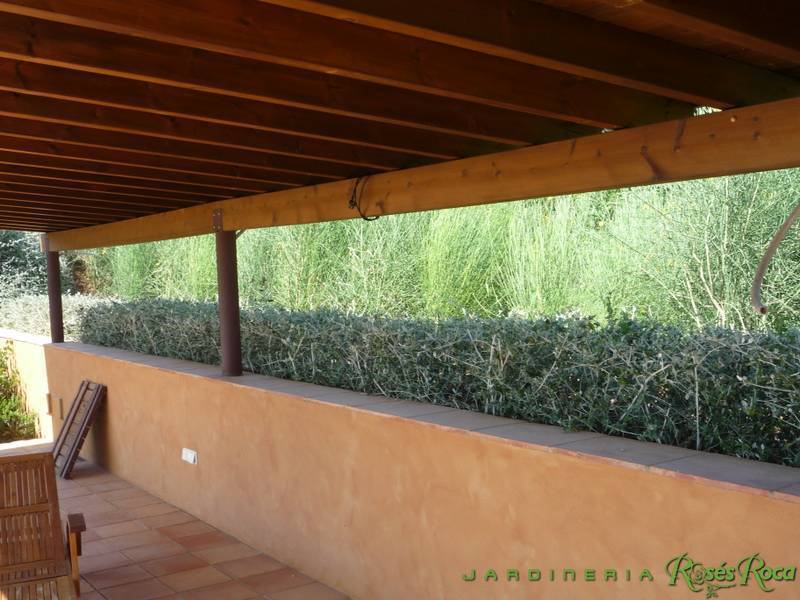 JardineriaRosesRoca36