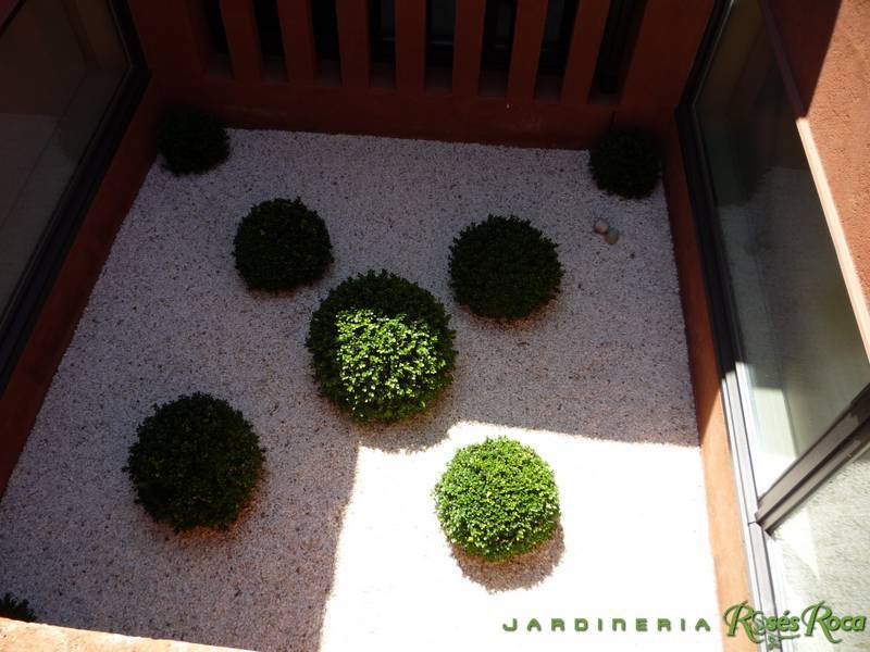 JardineriaRosesRoca37