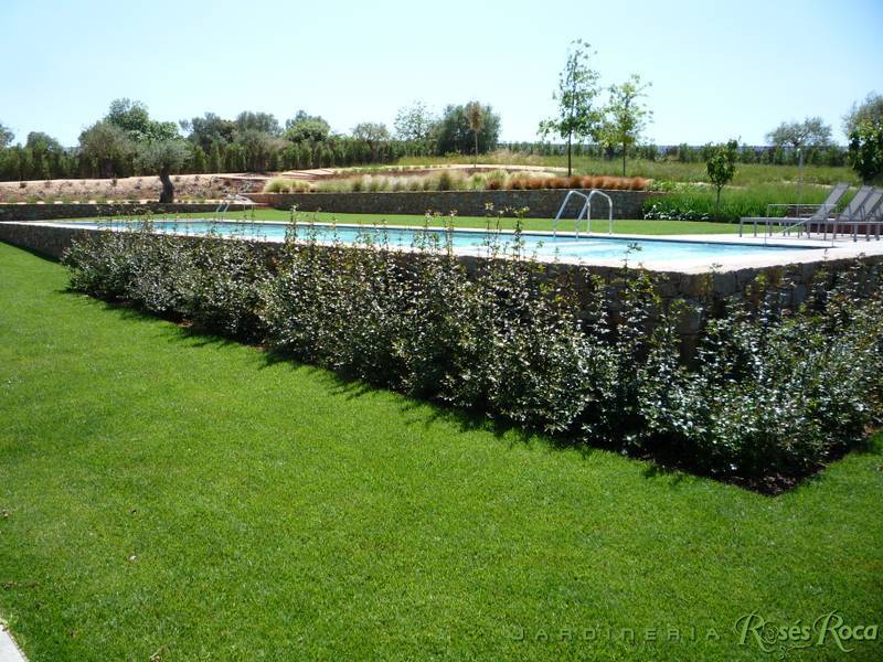JardineriaRosesRoca39
