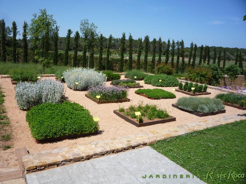 JardineriaRosesRoca40