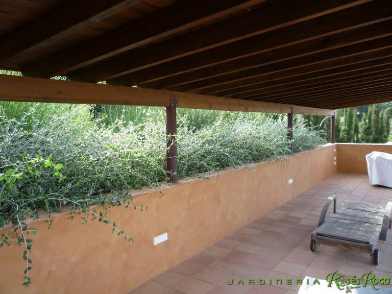 JardineriaRosesRoca46