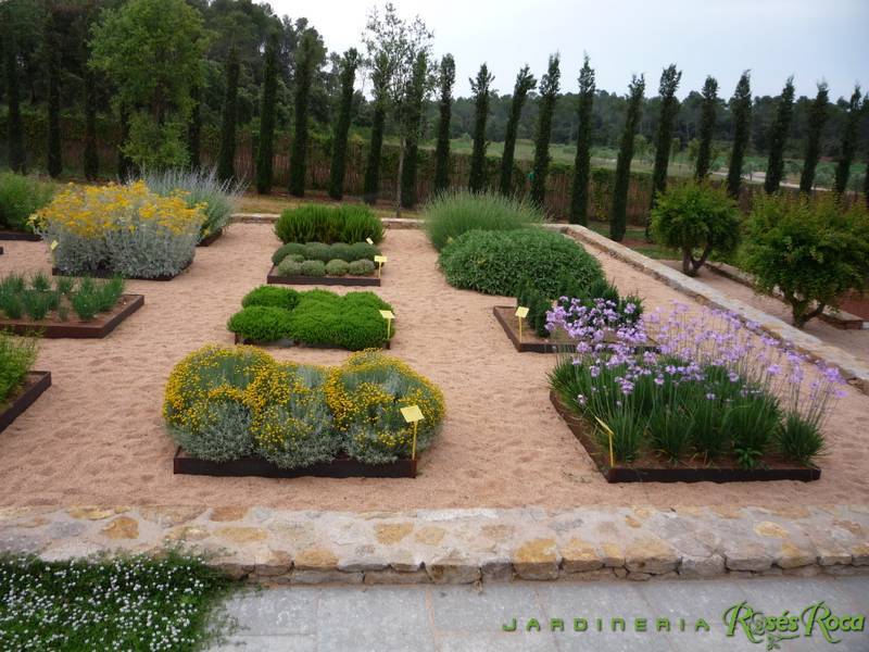 JardineriaRosesRoca47