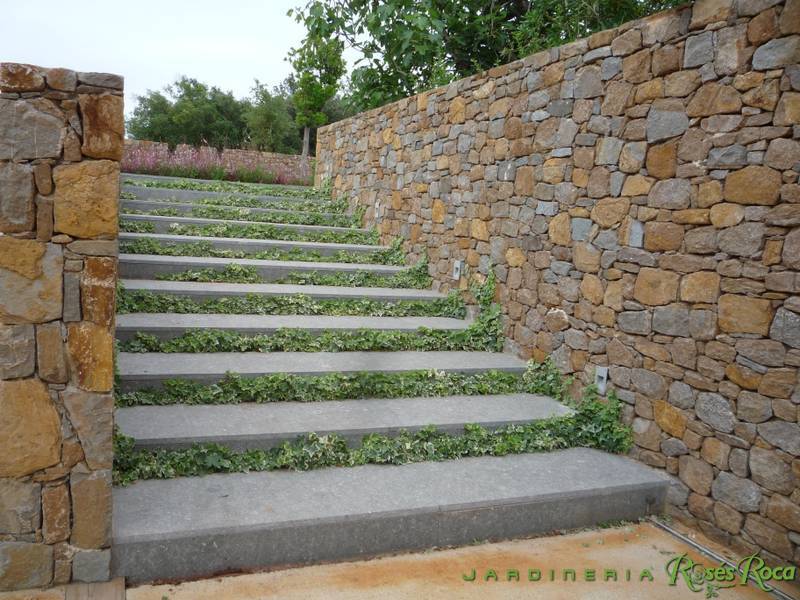 JardineriaRosesRoca48