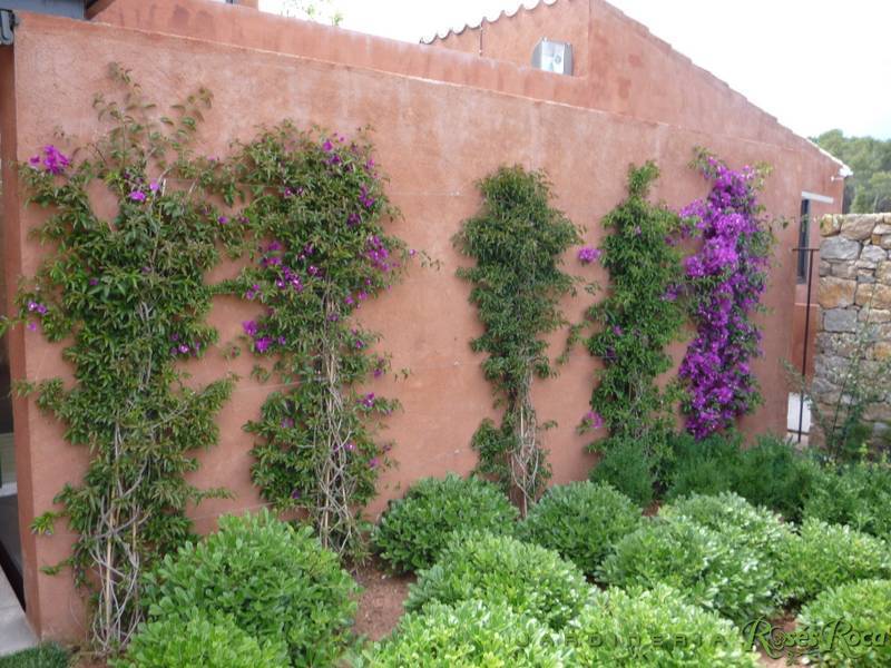 JardineriaRosesRoca5