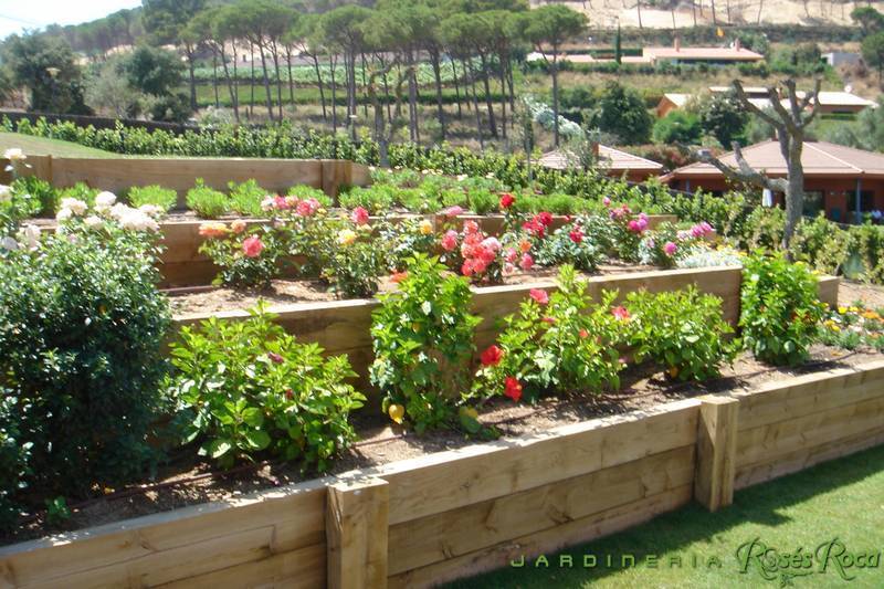 JardineriaRosesRoca50