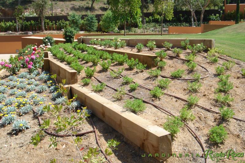 JardineriaRosesRoca51