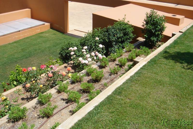 JardineriaRosesRoca52