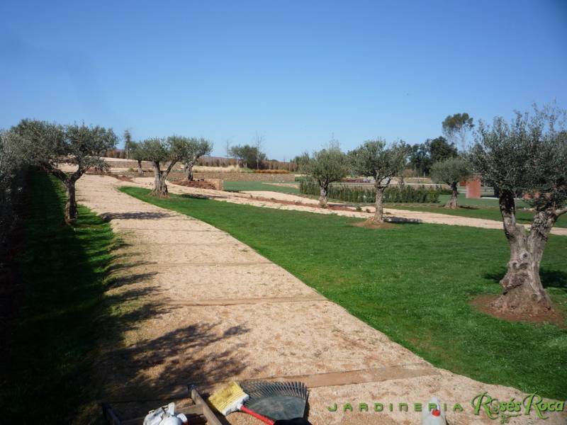 JardineriaRosesRoca53