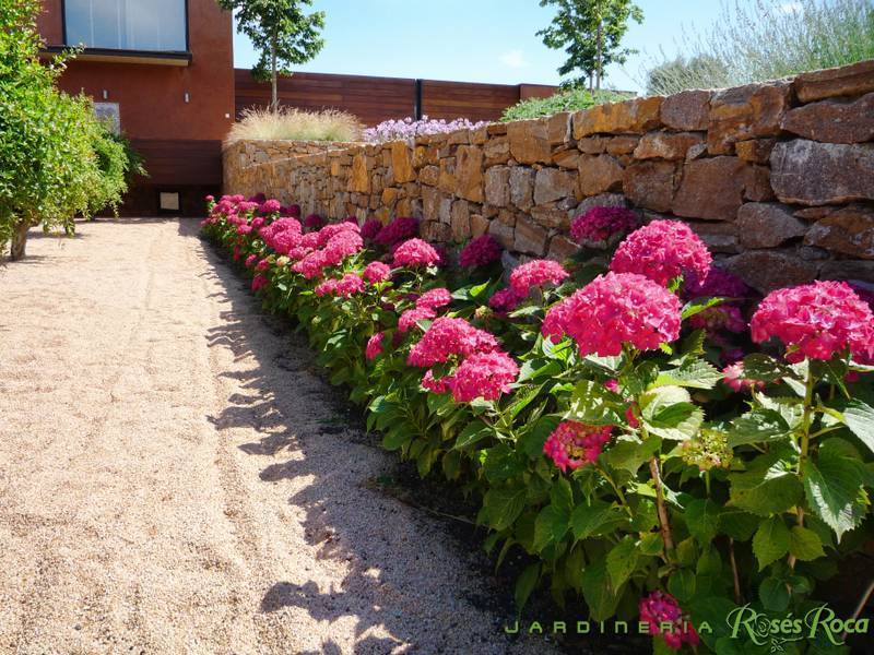 JardineriaRosesRoca1