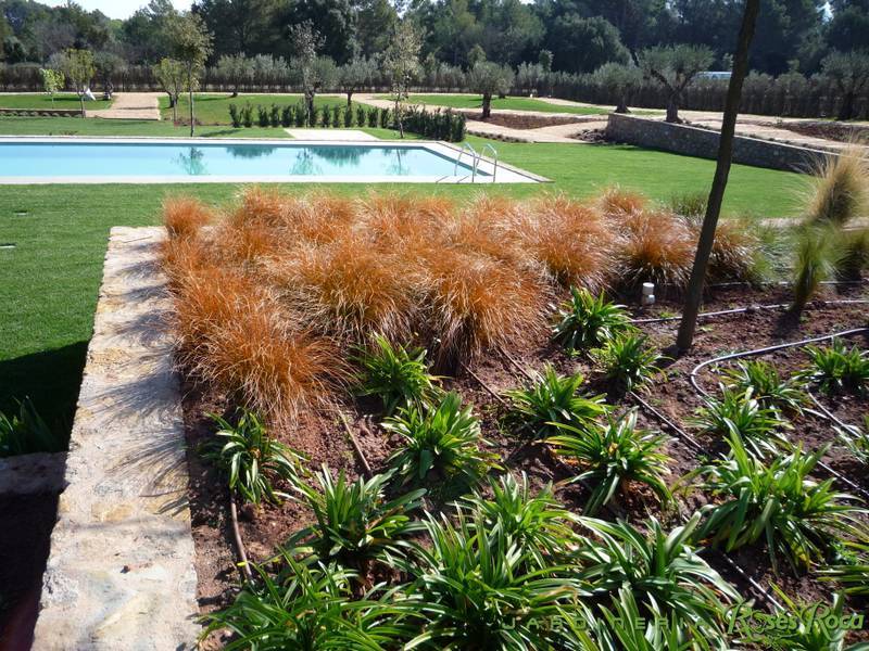JardineriaRosesRoca2