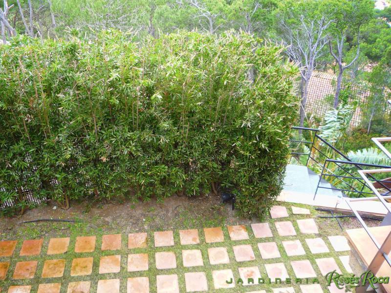 JardineriaRosesRoca24