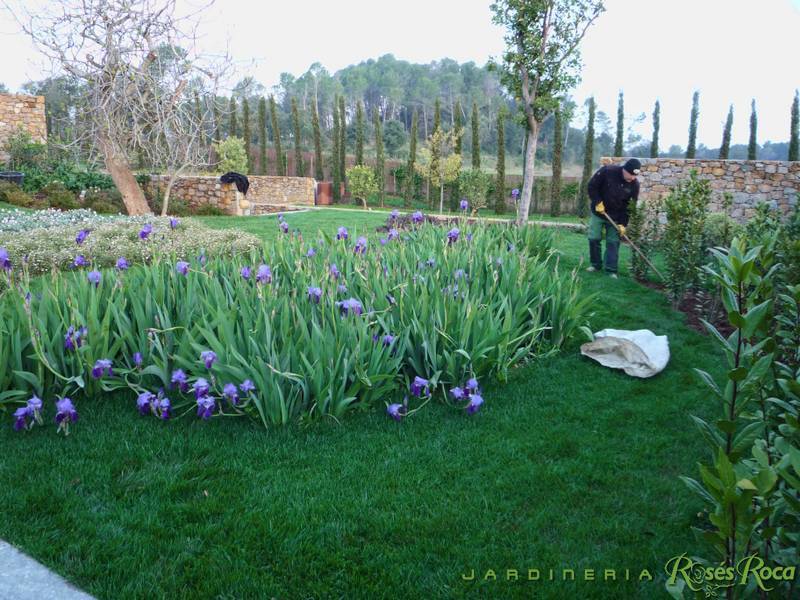 JardineriaRosesRoca3