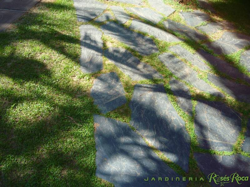 JardineriaRosesRoca30