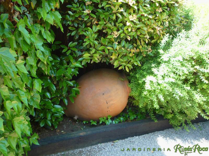 JardineriaRosesRoca36