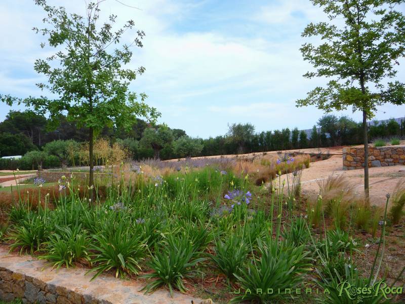 JardineriaRosesRoca42