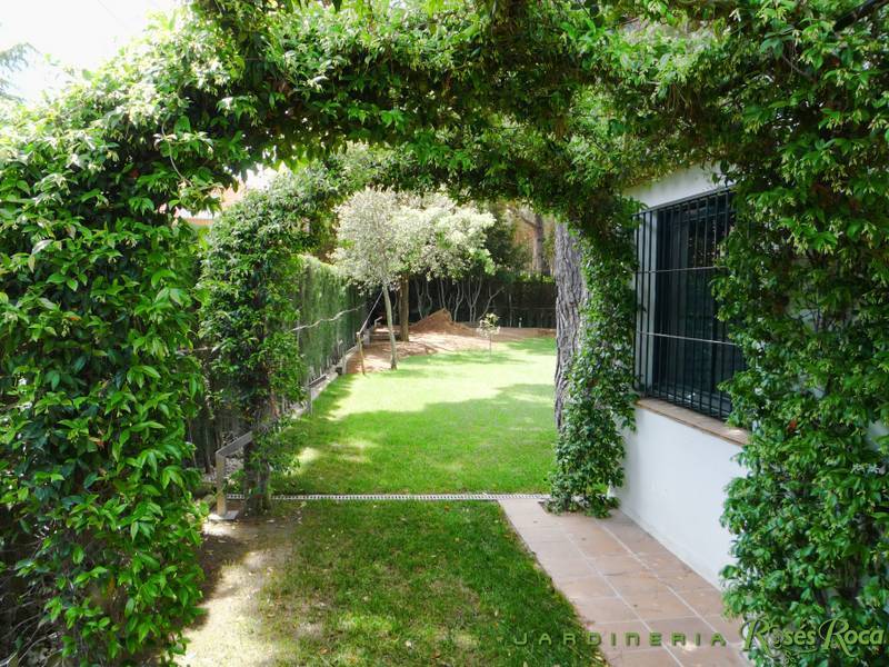 JardineriaRosesRoca47