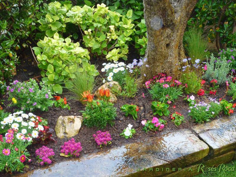 JardineriaRosesRoca5