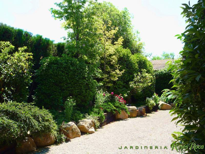 JardineriaRosesRoca7