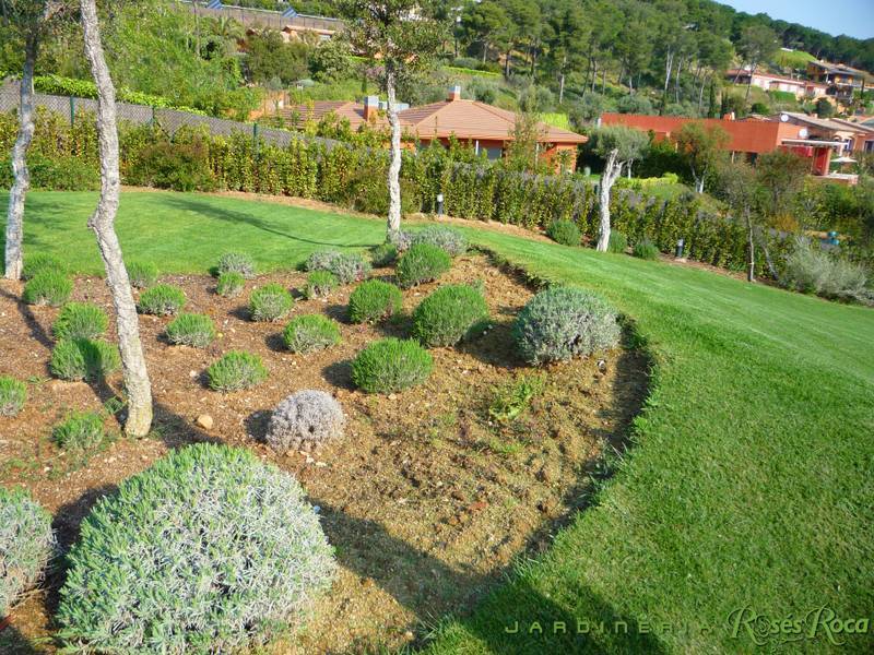JardineriaRosesRoca8