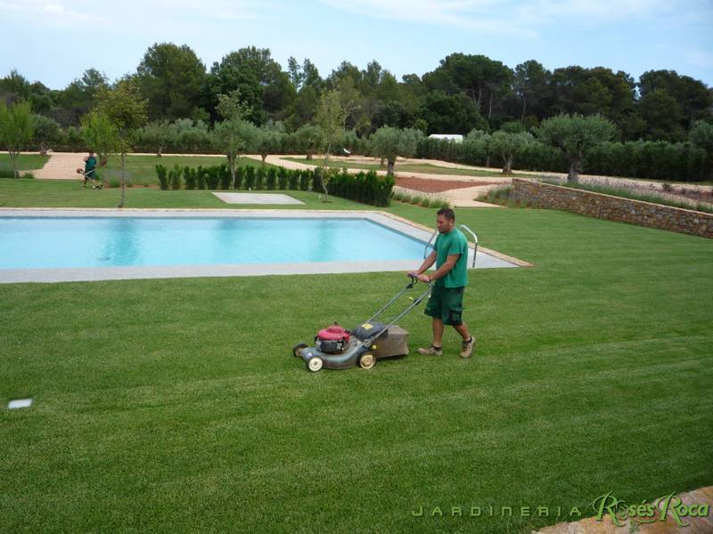 JardineriaRosesRoca11