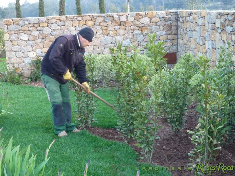 JardineriaRosesRoca14