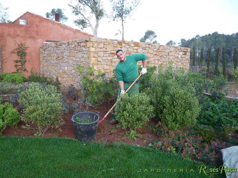 JardineriaRosesRoca15