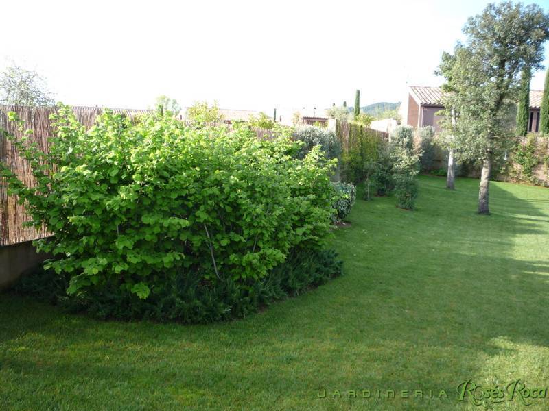 JardineriaRosesRoca17